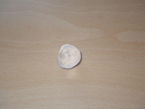 nn6tc9vp6bi3shkv38bb_480_480-2d01c0b6.jpg