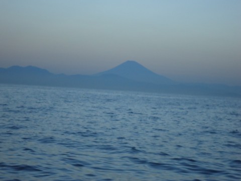 nnd6wh6mznok6u55mtz6_480_480-665077bb.jpg