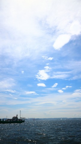 nnegovshbxcvjv93puno_480_480-a1c0a1f0.jpg