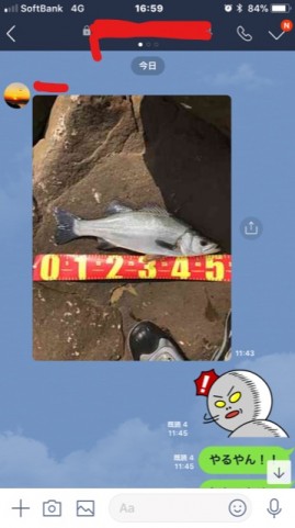 no5iucwejcu55ein6zbh_480_480-aa6b5bfe.jpg