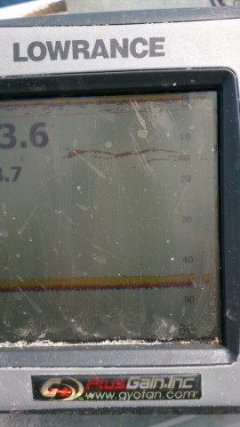 nobovxbn2kp76du35yy4_517_920-a3f035ea.jpg