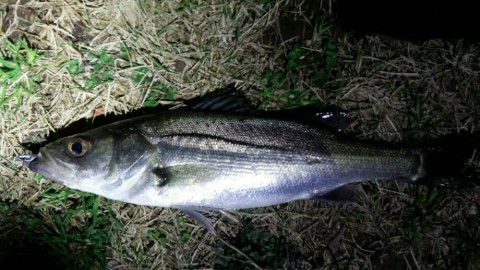 nokpe772gnufp6y6b4rw_920_518-89b09c6a.jpg
