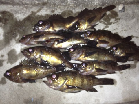 nom6844kc3ipgvvnphdi_920_690-e62ceddc.jpg