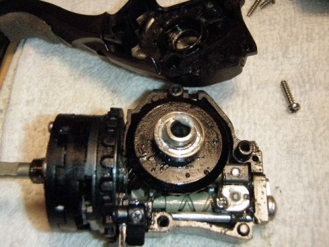 noxgvb54y6grgtmpgfd4_480_480-c1d04002.jpg