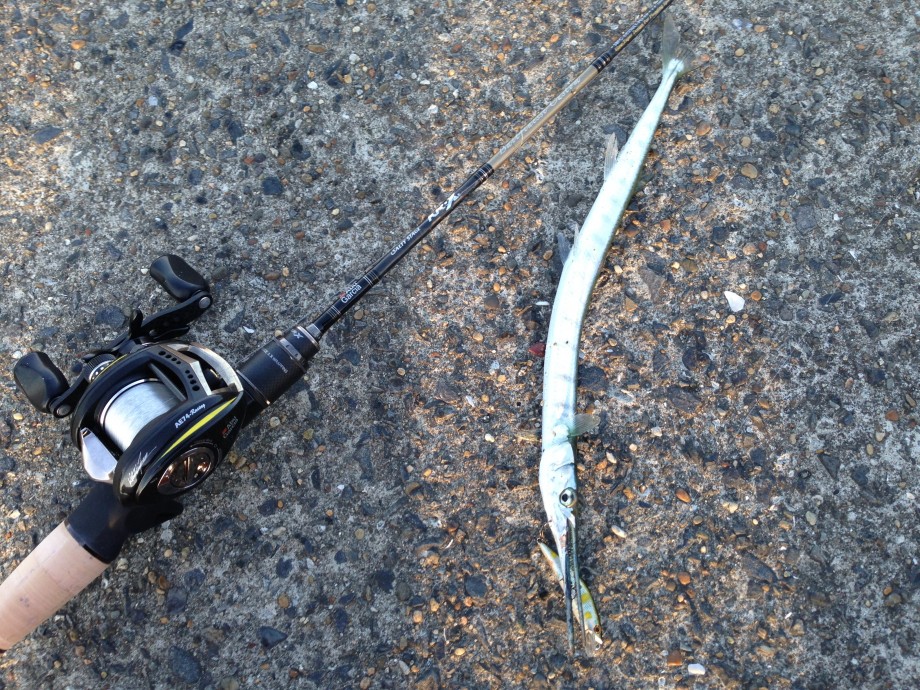 Pure Fishing Japan SaltWater BLOG】 LTZ for SWベイトフィネス