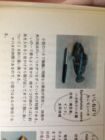 npe5drwu8f3bh3vnezzv_690_920-f9387d28.jpg