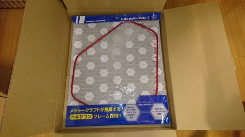 npejicsokf8pvcbuobcb_920_518-b5436351.jpg