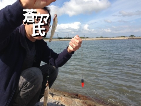 nphxbmmiidaxcd25c2gi_480_480-112e44ac.jpg