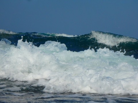 npromjpaxn4fz79hcmph_480_480-461a2788.jpg