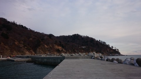 nr9cdterz5g93urijjxm_480_480-6fa34004.jpg