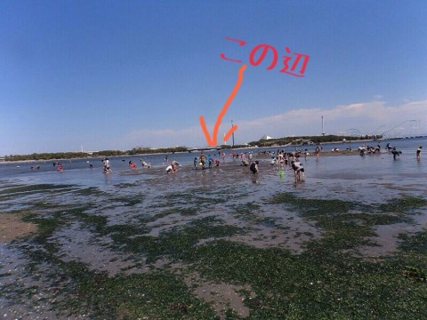 nrcvf66ofsevwgwauexb_920_690-a72cd0da.jpg