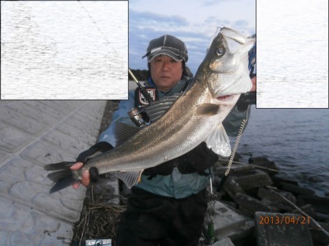 nrd6hnuefkxwtrsfieci_480_480-f90a3dec.jpg