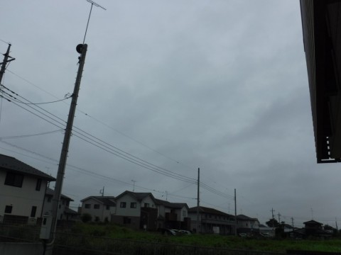 nrhccm6c897ix3e78y3n_480_480-466c9735.jpg