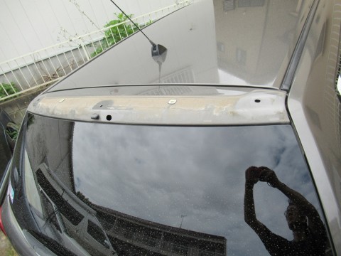 nrhjivkghwsj9ieaykmy_480_480-304617b5.jpg
