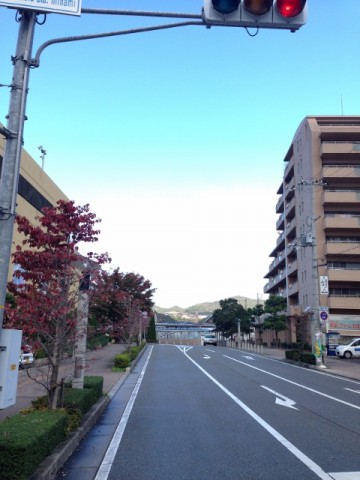 nriirbwx9bosx7c8pkio_480_480-b9ae63d2.jpg