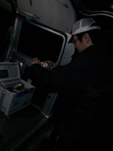 nrofngm5i2ubzzpmoku3_480_480-43133dbc.jpg