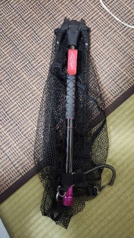 nrs9zf2rwxpjo5rya3f5_480_480-30f12ac3.jpg