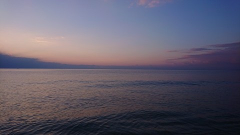 nrwkiy7n5n6kg2wtrp6k_480_480-7814a92b.jpg