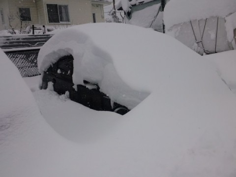 ns56b92vxmwwpyew9u8p_480_480-4d0837b7.jpg