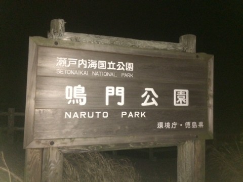 nsgiu8ff34uvwpn5aird_480_480-f42b06ab.jpg