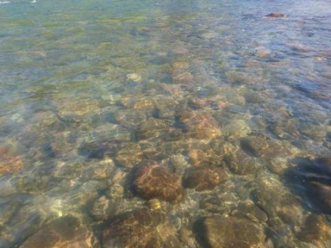 nsjg7a3h843md9pptuzs_480_480-387cbd8e.jpg