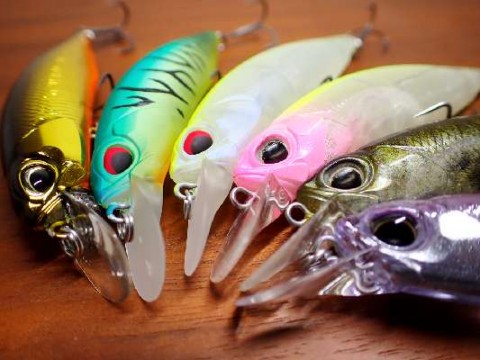 nsjghy2aokatrz3dnjsb_480_480-916e1f43.jpg