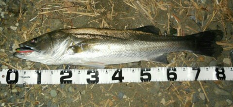 nsri2ftwkzik25fvv3e8_920_423-376d9131.jpg