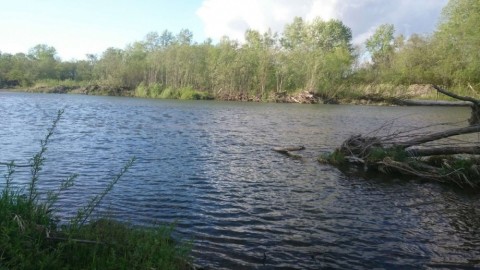 nsvtxmgu7uahf8ayp67u_480_480-138b297d.jpg
