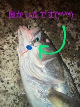 nt6dwwu7j9fwmk7kmf4s_360_480-3c73640b.jpg