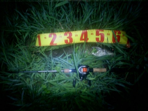 nt965pejud4rc3cfuawn_920_690-31b8ed33.jpg