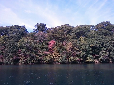 ntfxkprm2hmx9wv9ec74_640_480-977fbb62.jpg