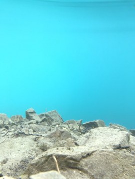 ntmbnuvjn6otvowiekyc_361_480-706d17c6.jpg