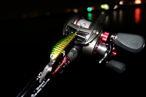 ntmyjbvfur3d3uvrx923_480_480-b590469e.jpg