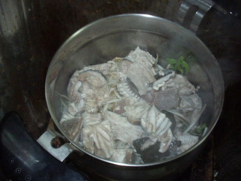 nts4yuaopoo5464xud3y_480_480-2d8780d9.jpg