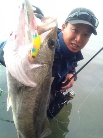 nubbr6og293daiu3c8n7_480_480-88a1d7e0.jpg