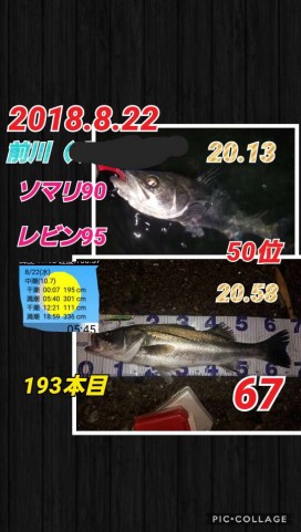 nudjfo57vviib7jck7mr_480_480-2035f10f.jpg