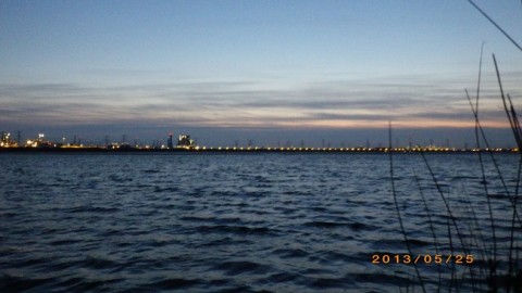 nuii8fmncwx42kyuatbf_480_480-0d72c466.jpg