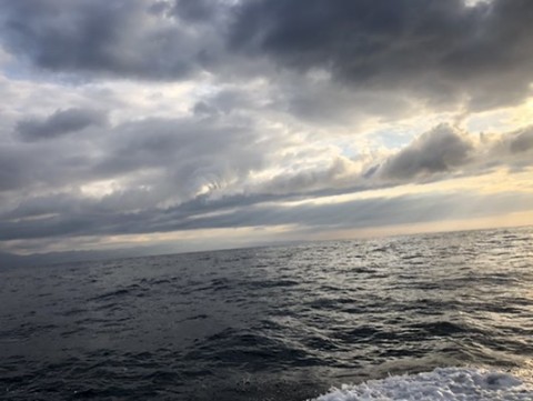 nujje34yw7ivhdfcius7_480_361-18da8f5a.jpg