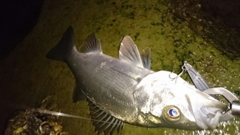 nuwjvvusboapi7ubssmk_920_518-3cb836bb.jpg