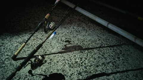 nv7sub2275acamo6anwv_768_432-f4b9cc00.jpg