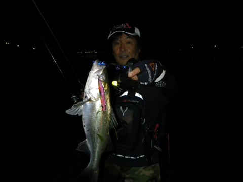 nv9ywxame93xk5x9hcmc_480_480-96447351.jpg