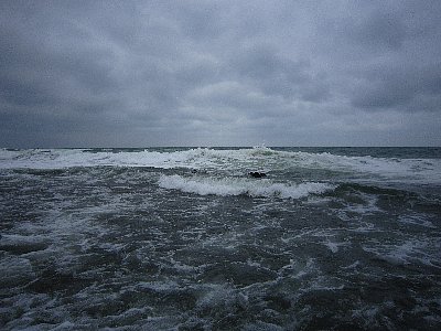 nvjwz7oodej8p6moh65c-62de452c.jpg