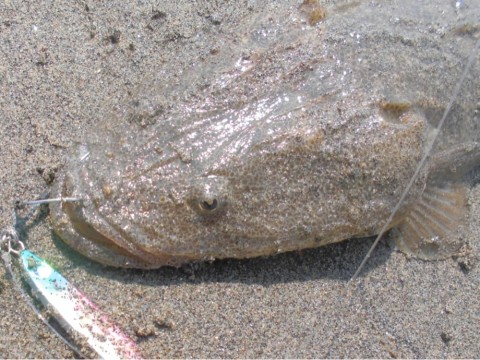 nvp78k33694e8tvwpcyk_920_690-e542df26.jpg