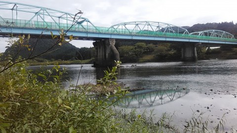 nvp86367sjihrr3ouipd_480_480-c90d28d8.jpg