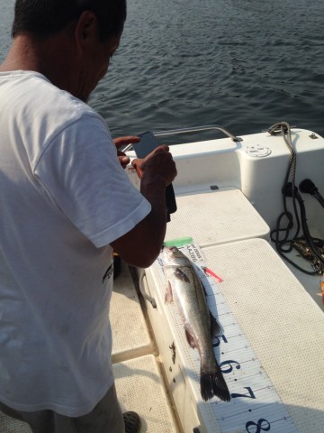 nw9ht43bx7rdd9uuv6o3_690_920-2da0e289.jpg