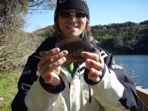 nwfmtxofdysgav6hv9ch_480_480-6f267794.jpg