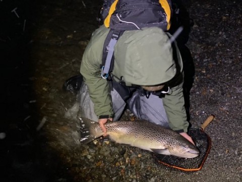 nwnb4ff349wyo9s2nvd7_480_360-f36e0525.jpg