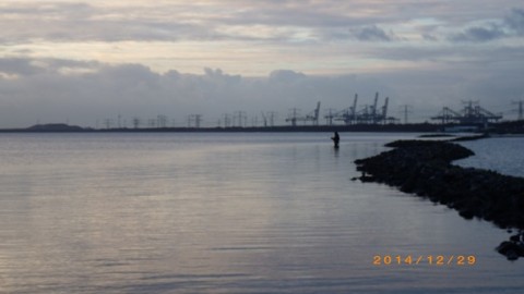 nwtdsubtwv7gidn26vnr_480_480-781a41ea.jpg