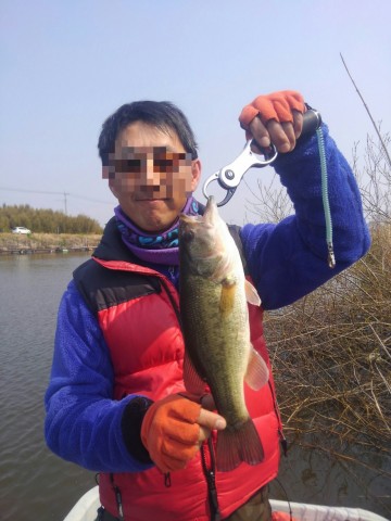 nwtwsivehaxy9smt5ihv_480_480-a75cc7ff.jpg