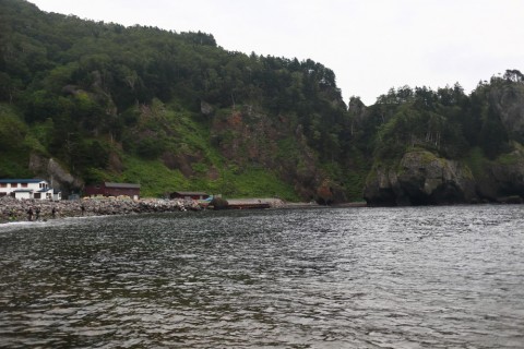 nwuehfuxxgbwdayukeei_480_480-2b5828ba.jpg